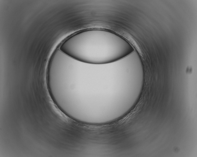 X0000094461132200712061217