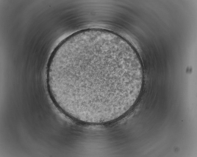 X0000094461133200712061217