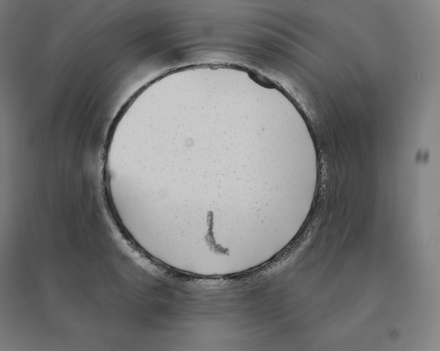 X0000094461134200712061217