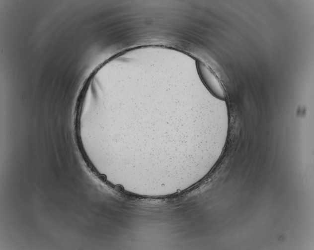 X0000094461135200712061217