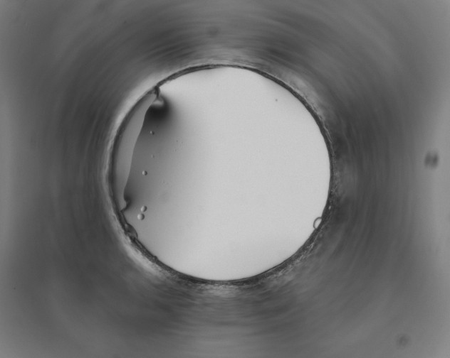 X0000094461136200712061217