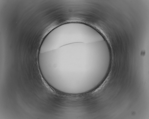 X0000094461137200712061217