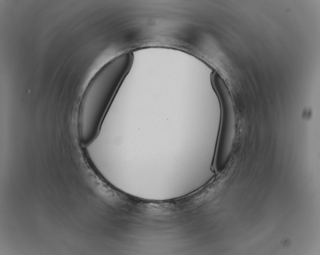 X0000094461138200712061217