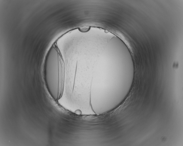 X0000094461140200712061217