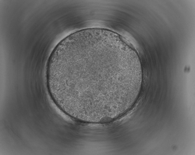 X0000094461142200712061217