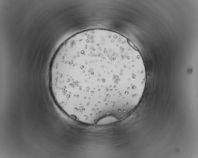 X0000094461143200712061217