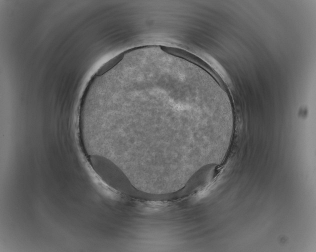 X0000094461144200712061217