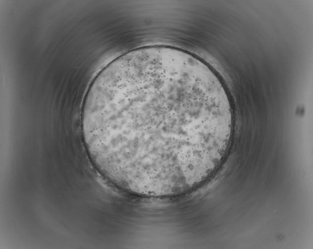 X0000094461145200712061217