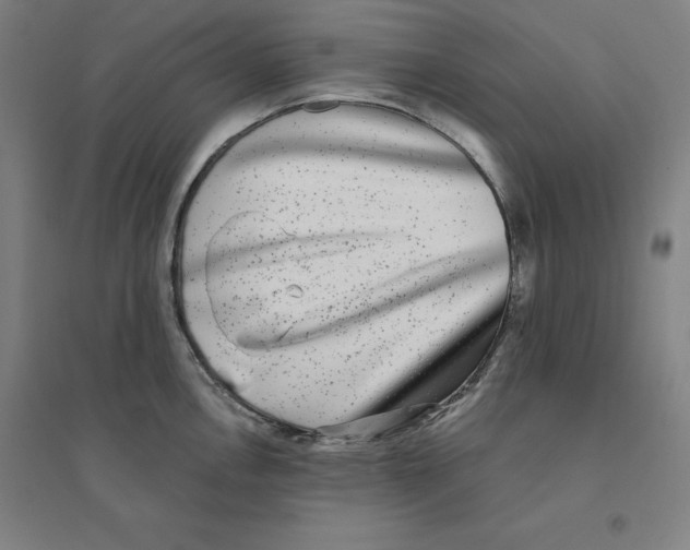 X0000094461146200712061217