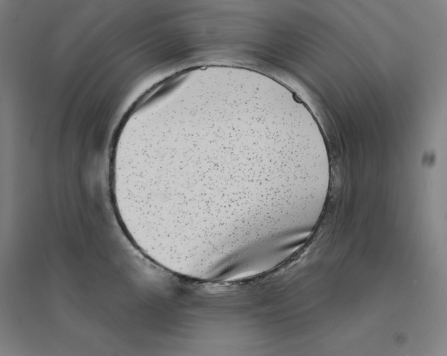 X0000094461147200712061217