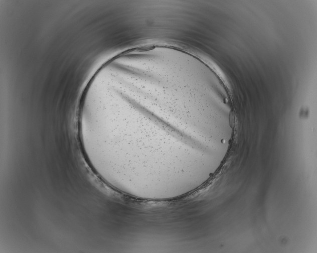 X0000094461148200712061217