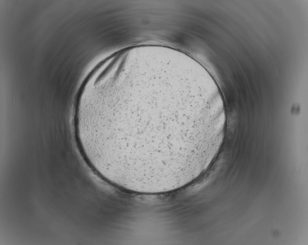 X0000094461149200712061217