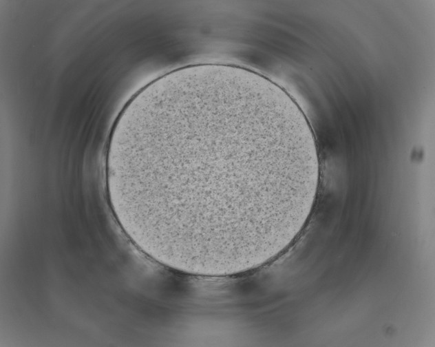 X0000094461150200712061217