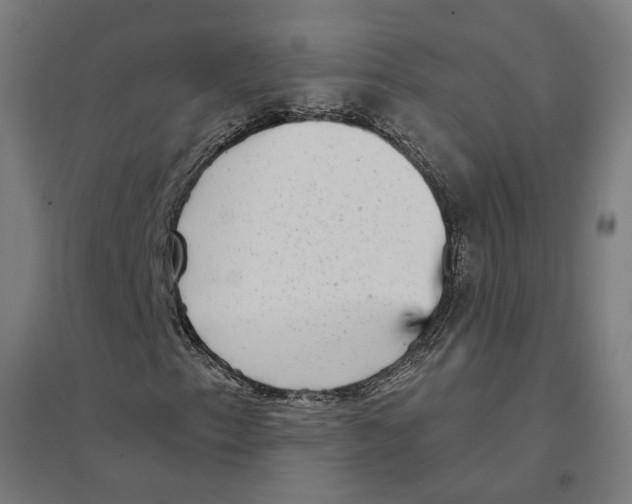 X0000094461153200712061217