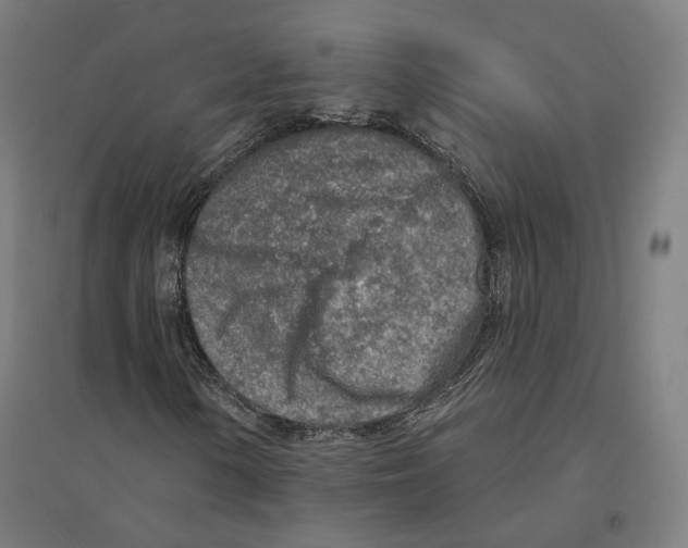 X0000094461154200712061217