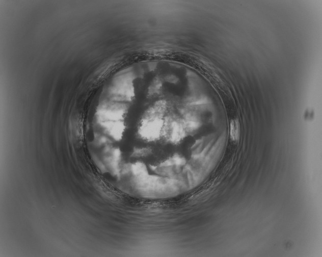 X0000094461155200712061217