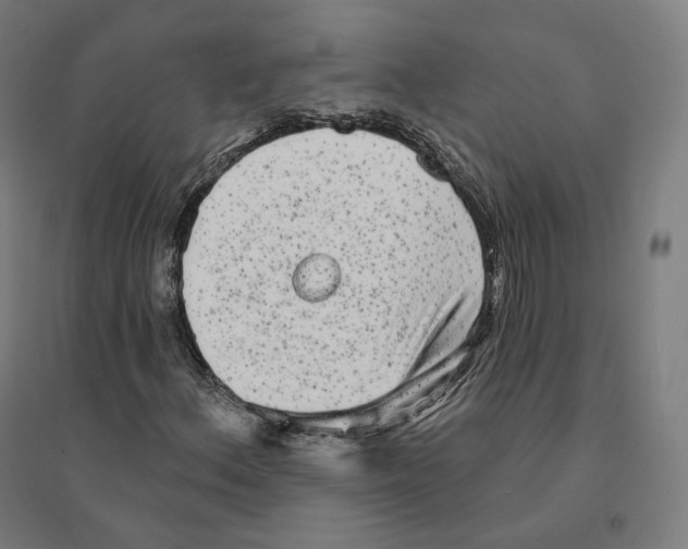 X0000094461156200712061217