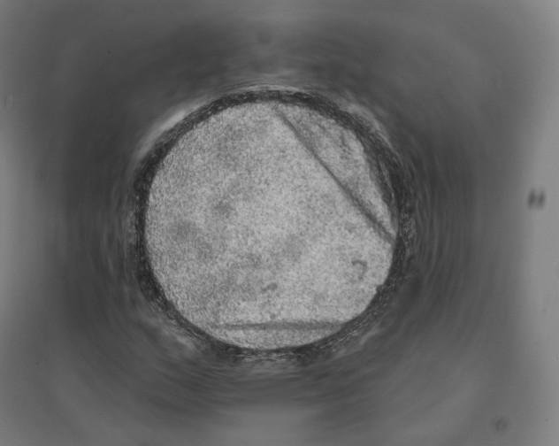 X0000094461159200712061217