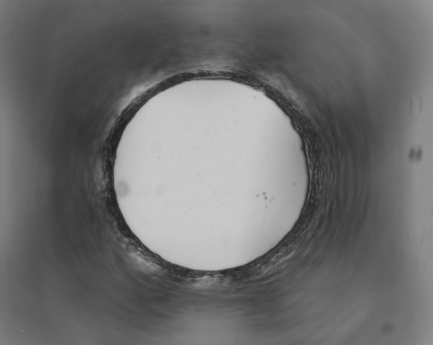 X0000094461160200712061217