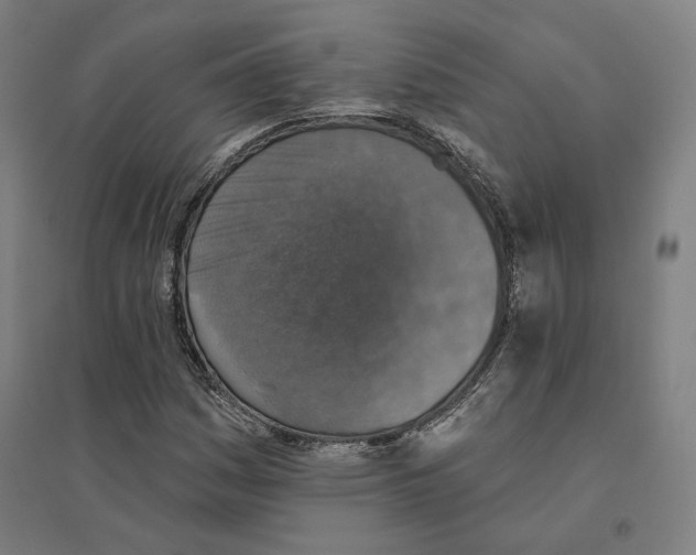 X0000094461161200712061217