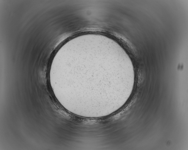 X0000094461162200712061217