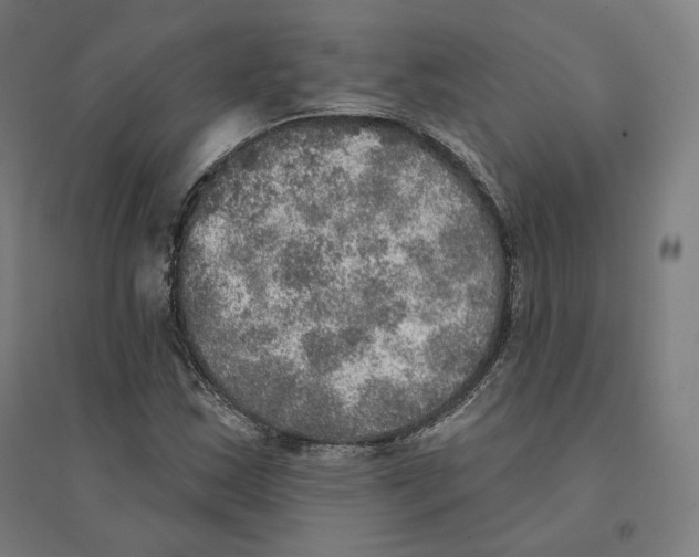 X0000094461163200712061217