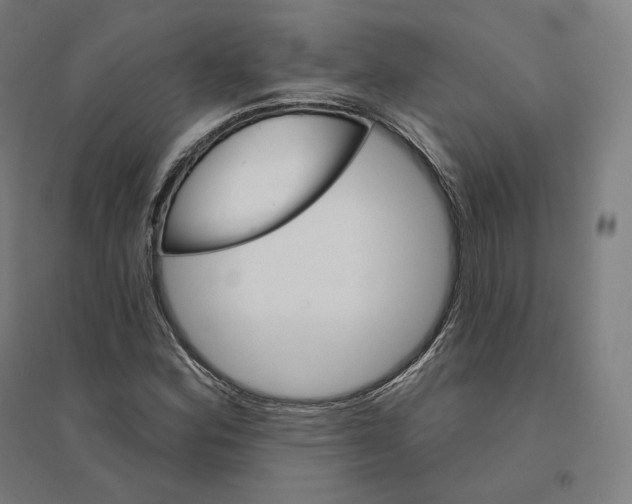 X0000094461164200712061217