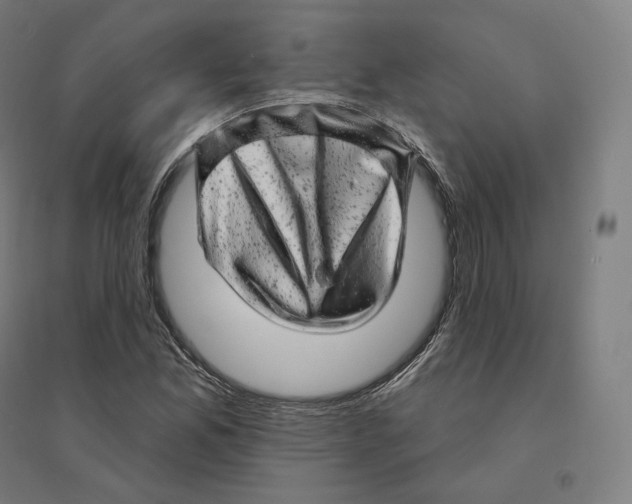 X0000094461165200712061217