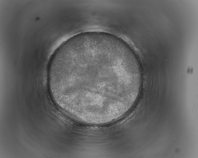 X0000094461167200712061217