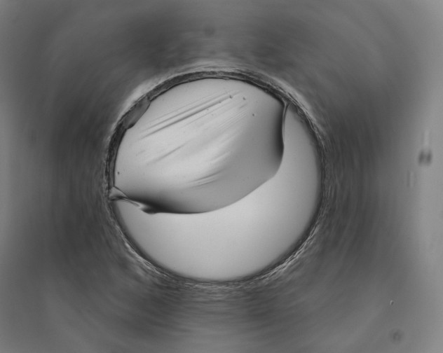 X0000094461168200712061216