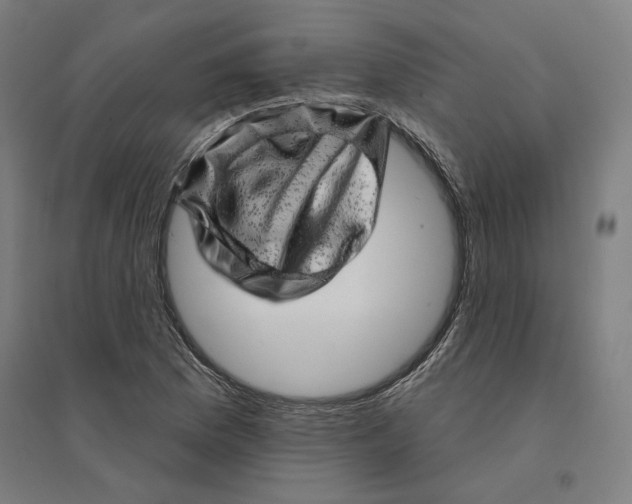 X0000094461169200712061216