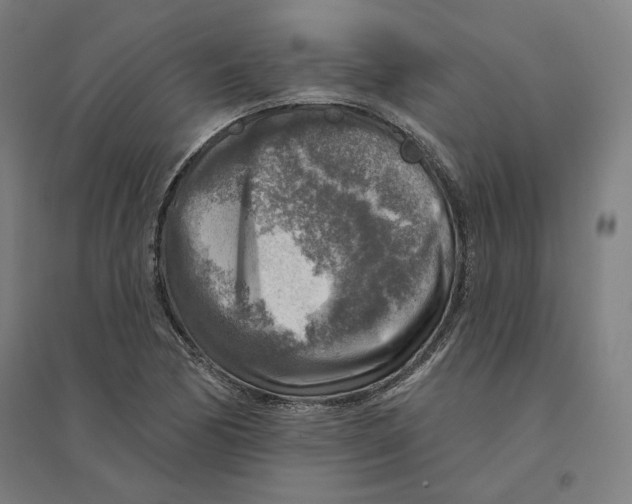 X0000094461170200712061216