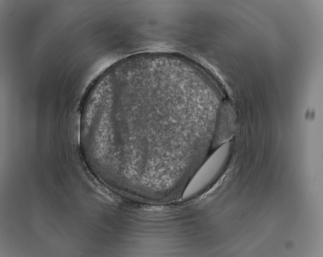 X0000094461171200712061216