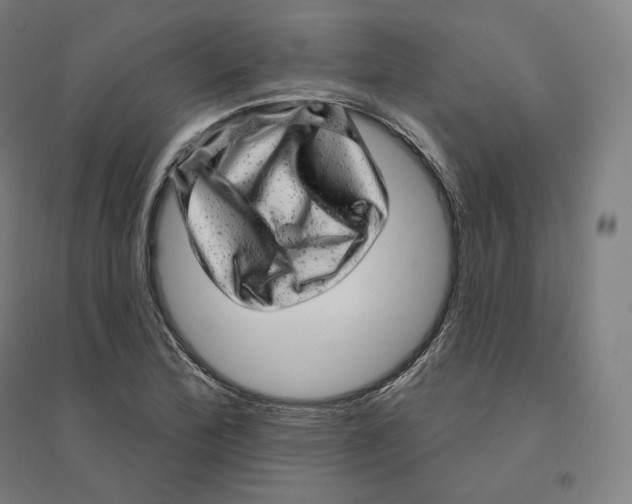 X0000094461172200712061216