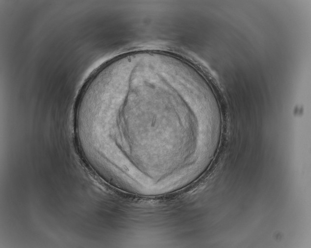 X0000094461174200712061216
