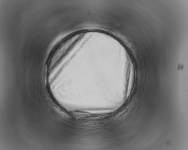 X0000094461175200712061216