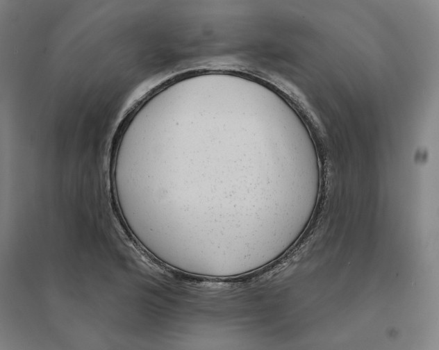 X0000094461176200712061216