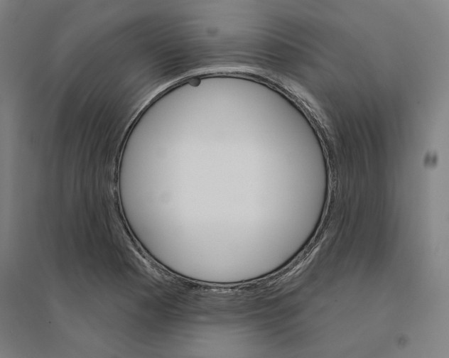 X0000094461177200712061216