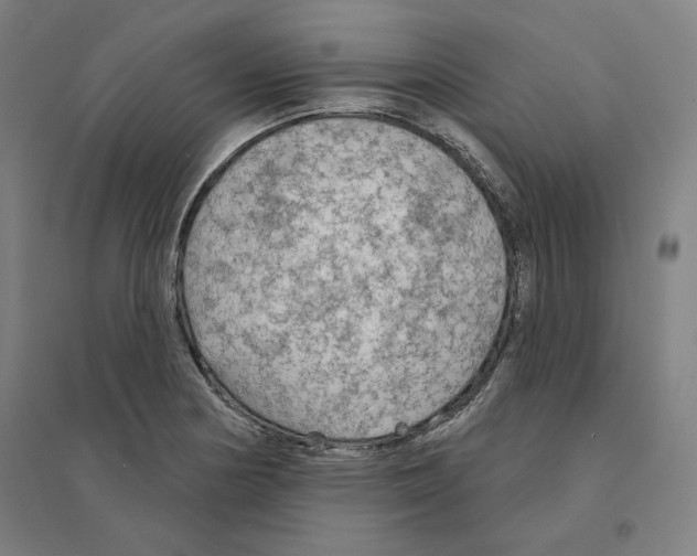 X0000094461178200712061216