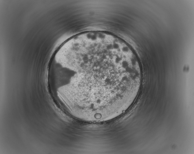 X0000094461179200712061216