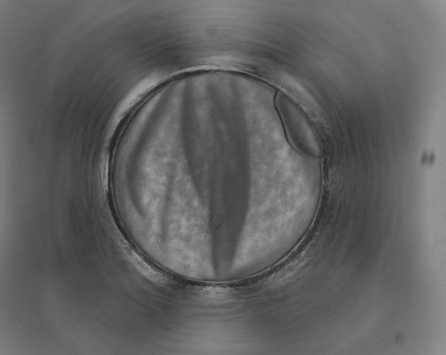 X0000094461180200712061216