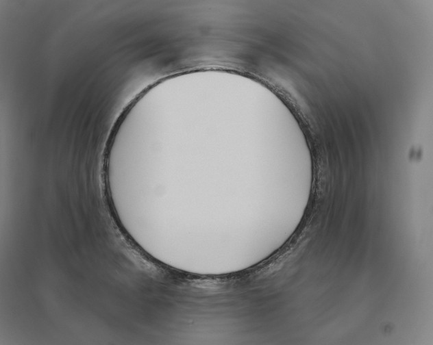 X0000094461182200712061216