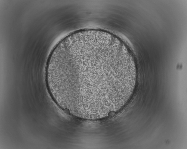 X0000094461183200712061216