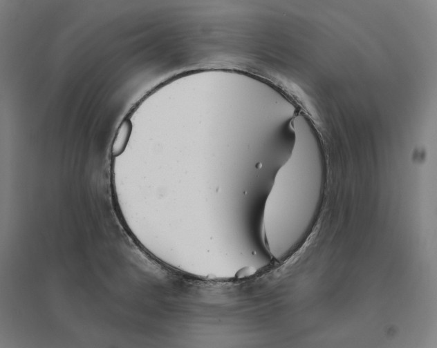 X0000094461184200712061216