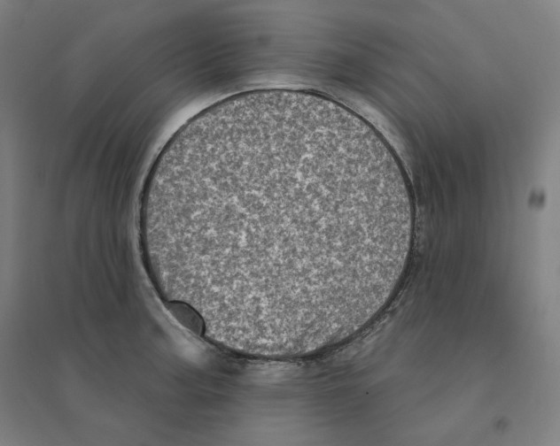 X0000094461187200712061216