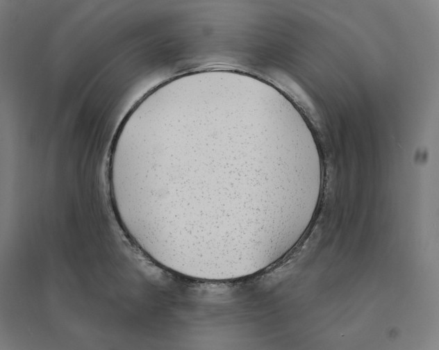 X0000094461190200712061216