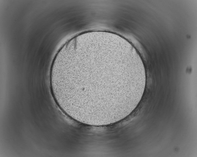 X0000094461191200712061216