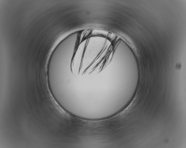 X0000094461192200712061216