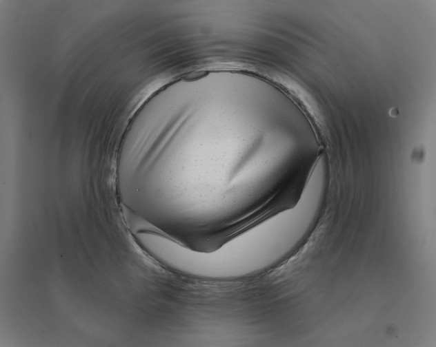 X0000094461193200712061216