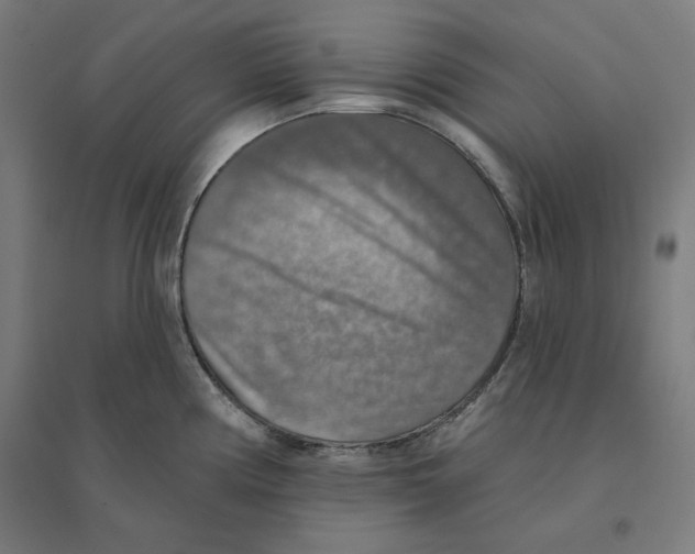 X0000094461194200712061216